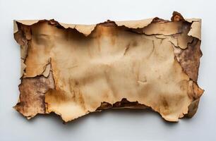 Crumpled brown paper with torn edges lying flat on a white background photo