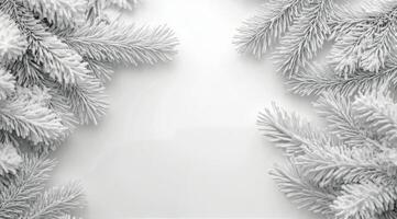 Snowy forest landscape with frosted pine branches and cones during winter season photo