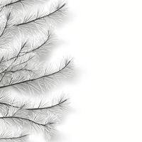 Snow covered branches create a serene winter atmosphere against a soft white backdrop photo