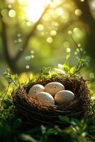 A close up of a bird nest with speckled eggs surrounded by lush greenery at dawn photo