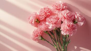 A bouquet of pink carnations against a soft pink background with beautiful shadow patterns photo