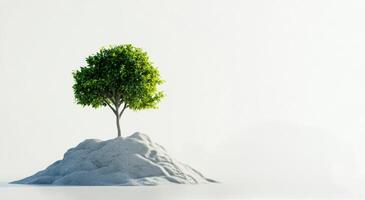 A solitary tree grows on a mound of stones against a minimalist background in soft lighting photo