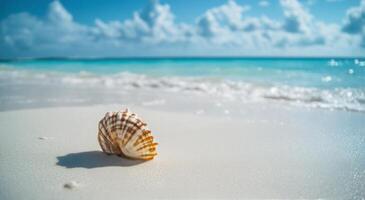 A beautifully patterned seashell resting on a pristine sandy beach under a clear blue sky photo