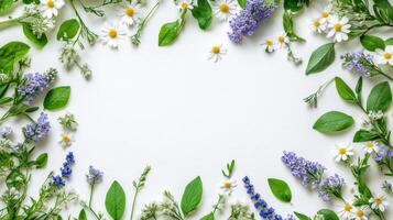Colorful purple and pink flowers arranged artistically on a white background with green leaves photo