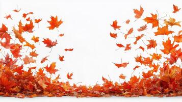 Golden autumn leaves falling gently to the ground in a vibrant display of seasonal change photo