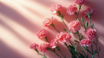 A bouquet of pink carnations against a soft pink background with beautiful shadow patterns photo