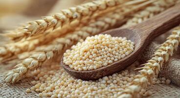 Grains of golden seeds and wheat stalks displayed on a rustic burlap background photo