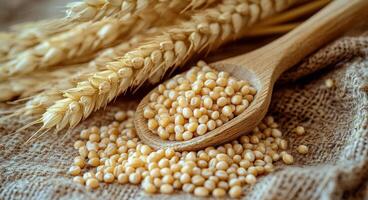 Grains of golden seeds and wheat stalks displayed on a rustic burlap background photo