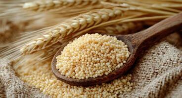 Grains of golden seeds and wheat stalks displayed on a rustic burlap background photo