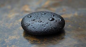 Smooth black stone with water droplets resting on a dark surface surrounded by greenery photo