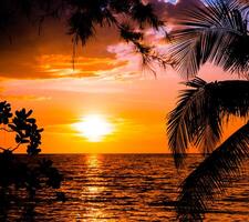 Beautiful sunset over the sea.with palm tree ,sky on twilight time and reflection on the sea for travel in holiday relax time photo