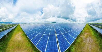 Top view of Solar panels on farm. Alternative source of electricity. solar panels absorb sunlight as a source of energy to generate electricity creating sustainable energy photo