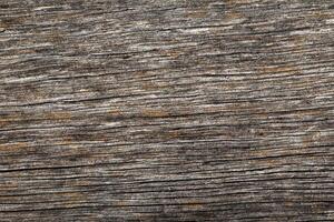 Wood abstract texture. Surface grunge backdrop. Dirty wooden effect pattern. Material background. photo