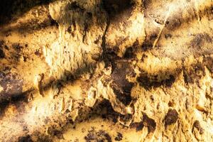 Plastic abstract texture. Surface grunge backdrop. Dirty effect pattern. Material background. photo