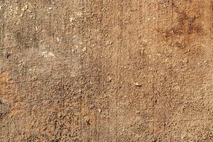 Wood abstract texture. Surface grunge backdrop. Dirty wooden effect pattern. Material background. photo
