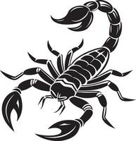 Emperor scorpion attacking, Pandinus imperator, isolated vector