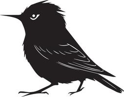 black bird silhouette on white background vector