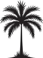 palm tree silhouette on white background vector