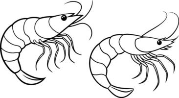 illustration of a shrimp vector