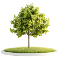 A tree on a circular base with grass png