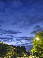 As dusk settles, trees stand against a dramatic sky filled with clouds. Streetlights glow softly while nearby homes add charm to the serene atmosphere. photo