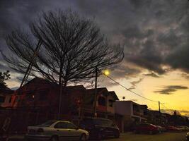 As dusk settles, trees stand against a dramatic sky filled with clouds. Streetlights glow softly while nearby homes add charm to the serene atmosphere. photo