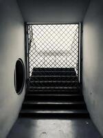 a perspective of little hallway to enter the building but closed by wired door, shoot in monochrome. photo