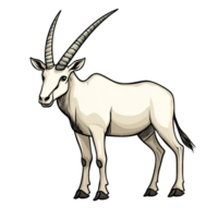 Oryx Transparent Background Icon png