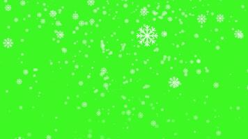 Snowflakes falling effect loop animation. snowflakes falling with green background. Green screen chromakey video