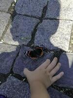 The boy is trying to catch a butterfly with his hand photo