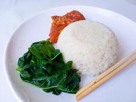 rice with padang rendang chicken side dish and cassava leaf vegetables on a white plate isolate on white photo