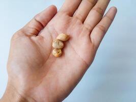 roasted peanuts on palm isolate on white photo