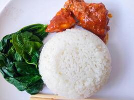 rice with padang rendang chicken side dish and cassava leaf vegetables on a white plate isolate on white photo