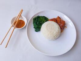 rice with padang rendang chicken side dish and cassava leaf vegetables on a white plate isolate on white photo