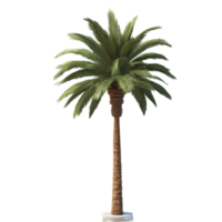 a isolado encontro Palma representando herança e tradição, frequentemente encontrado dentro meio Oriental paisagens, adicionando uma toque do exótico elegância. png