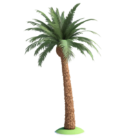 uma solteiro encontro Palma Aumentar a partir de arenoso terreno, simbolizando resiliência e vida no meio árido arredores, perfeito para uma minimalista Projeto. png