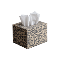 Decorative tissue box with intricate pattern on transparent background png