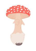 Cute hand drawn fly agaric fungus in flat style. Spooky design for Halloween isolated on white background. Poisonous mushroom. Good for decoration, stickers, logo vector