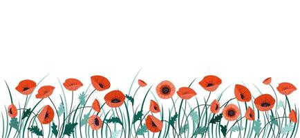 Horizontal cartoon banner with gorgeous multicolored blooming flowers, leaves border. Spring or summer botanical illustration with different poppy flowers on white background with empty space. vector