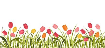 Horizontal cartoon banner with gorgeous multicolored blooming flowers, leaves border. Spring or summer botanical illustration with different tulips on white background with empty space. vector