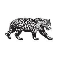 Leopard Walking Images. Leopard walking graphics hatching stock image vector