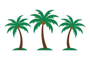 Three palm tree icon set on white background. vector