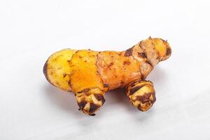 Fresh curcuma root for cooking photo
