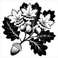 Black and white oak branch with leaves and acorns vector