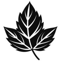 A black and white maple leaf silhouette on a white background vector