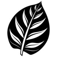 A black and white leaf on a white background vector