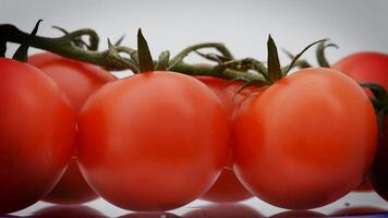 Cherries tomatoes rotating. Loop video