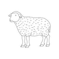 Hand drawn kids drawing illustration sheep flat cartoon isolated vector