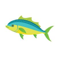 Mahi Mahi animal isolated flat illustration on white background vector