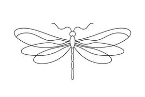Dragonfly continuous line art flat illustration on white background. vector